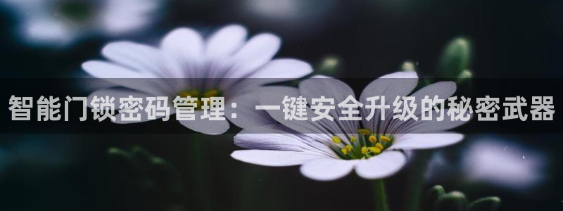 开丰娱乐注册电7O777：智能门锁密码管理：一键安全升级的秘
