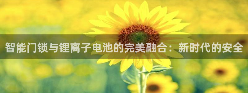 开丰娱乐手机app：智能门锁与锂离子电池的完美融合：新时代的