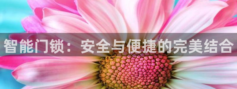 开丰娱乐平台官网登录：智能门锁：安全与便捷的完美结合
