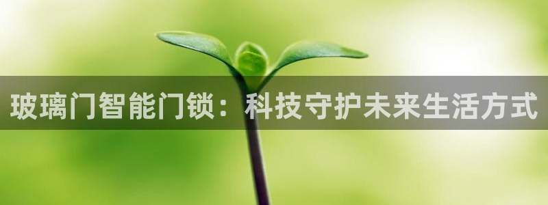 开丰娱乐平台提现失败：玻璃门智能门锁：科技守护未来生活方式