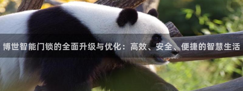 开丰娱乐登录地址入口：博世智能门锁的全面升级与优化：高效、安
