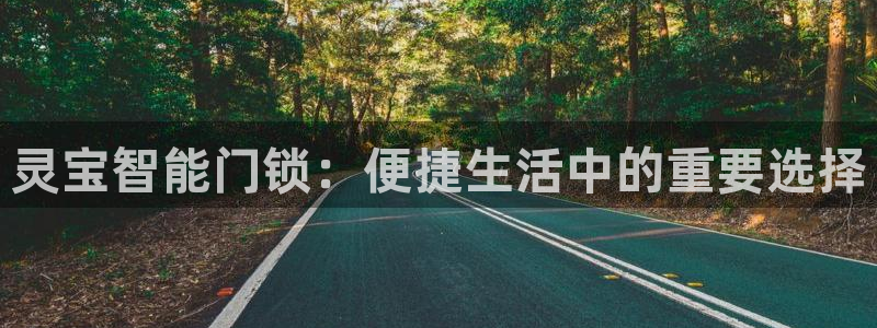 开丰娱乐山67五壹叁八：灵宝智能门锁：便捷生活中的重要选择