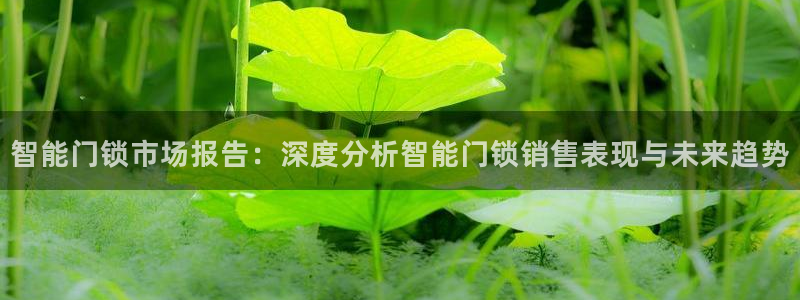 开丰娱乐官网最新消息：智能门锁市场报告：深度分析智能门锁销售