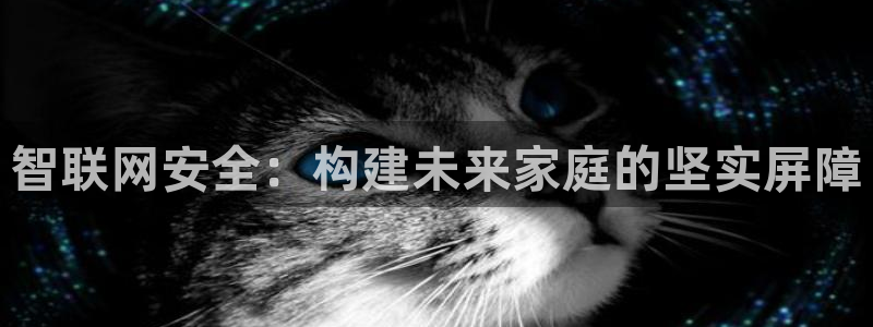 开丰娱乐官网招聘：智联网安全：构建未来家庭的坚实屏障