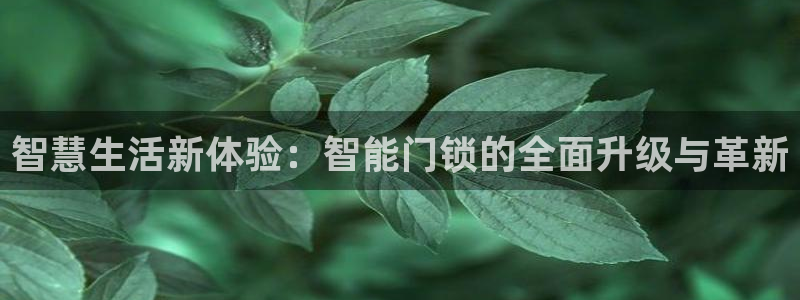 开丰娱乐登录官方网站：智慧生活新体验：智能门锁的全面升级与革