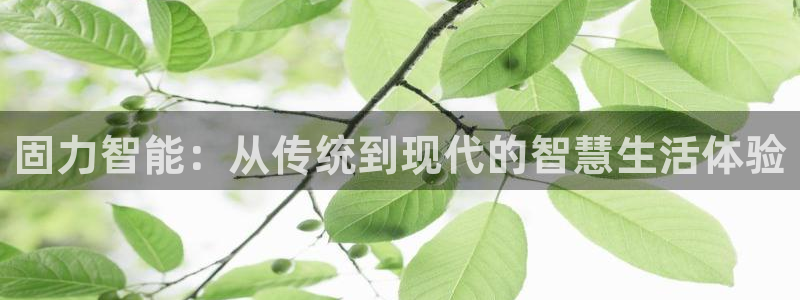 开丰娱乐官网平台电话：固力智能：从传统到现代的智慧生活体验