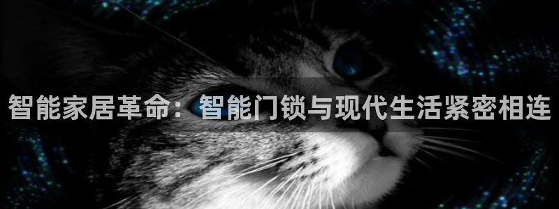 开丰娱乐天富娱乐：智能家居革命：智能门锁与现代生活紧密相连