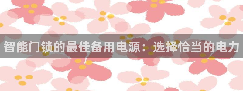 开丰娱乐联系q徽22212：智能门锁的最佳备用电源：选择恰当