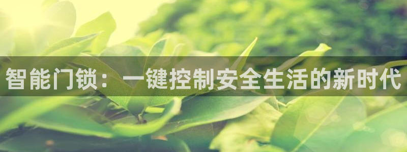 开丰娱乐主管家去判官333OO：智能门锁：一键控制安全生活的