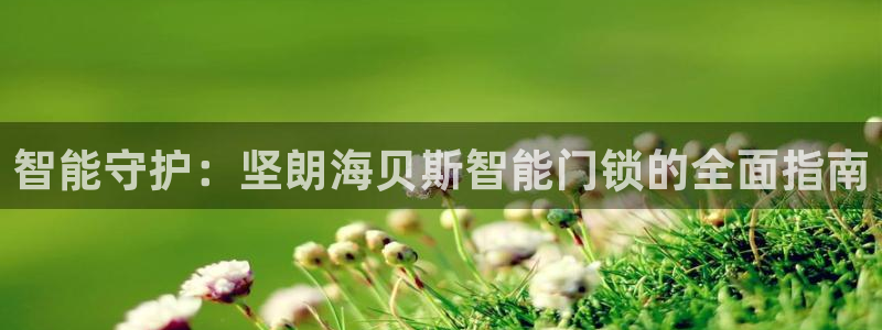 开丰娱乐怎么开转点：智能守护：坚朗海贝斯智能门锁的全面指南