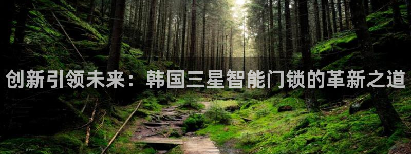 开丰娱乐千67五壹叁八：创新引领未来：韩国三星智能门锁的革新