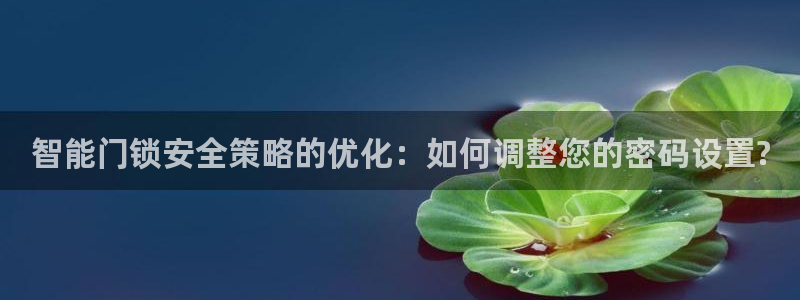 开丰娱乐2登录：智能门锁安全策略的优化：如何调整您的密码设置