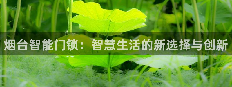 开丰娱乐手机app：烟台智能门锁：智慧生活的新选择与创新