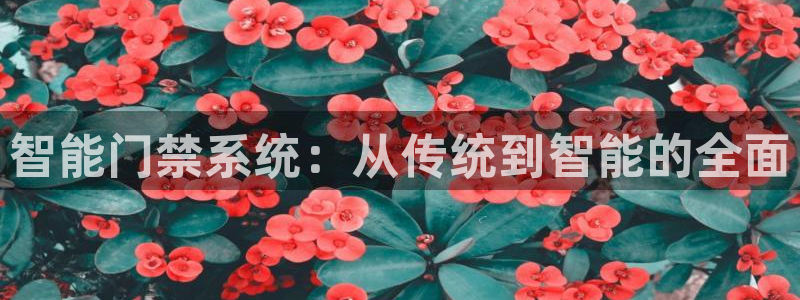 开丰娱乐后：智能门禁系统：从传统到智能的全面