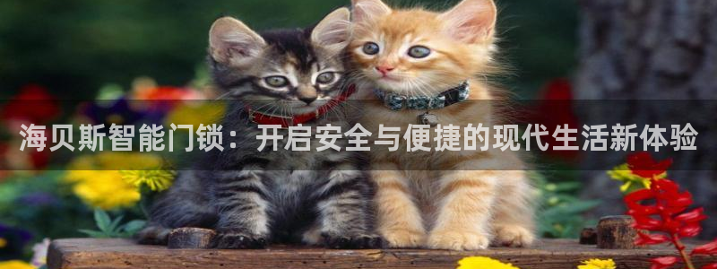 开丰娱乐靠谱吗：海贝斯智能门锁：开启安全与便捷的现代生活新体
