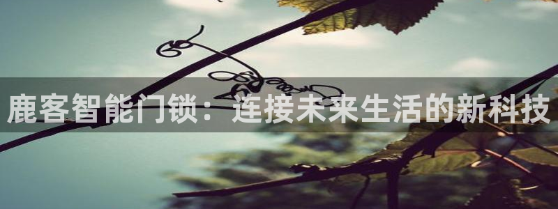 开丰娱乐注册系究耍333OO：鹿客智能门锁：连接未来生活的新