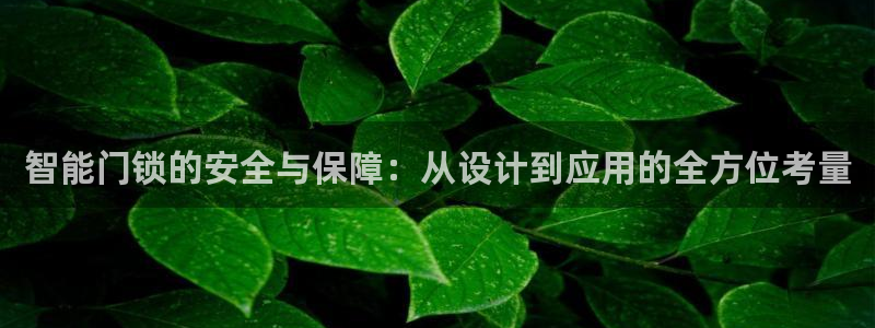 开丰娱乐地址：智能门锁的安全与保障：从设计到应用的全方位考量