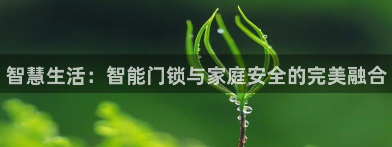 开丰娱乐主管：智慧生活：智能门锁与家庭安全的完美融合