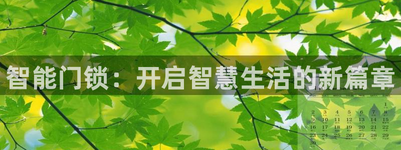 开丰娱乐网官网注册入口：智能门锁：开启智慧生活的新篇章