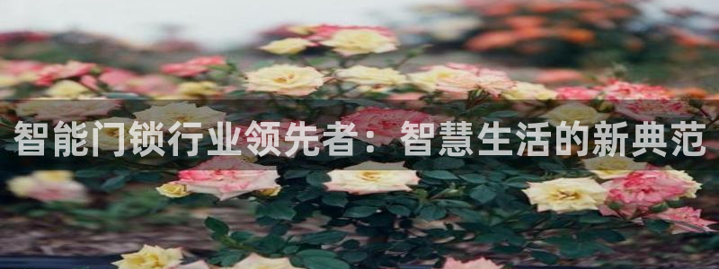 开丰娱乐网站官网入口：智能门锁行业领先者：智慧生活的新典范