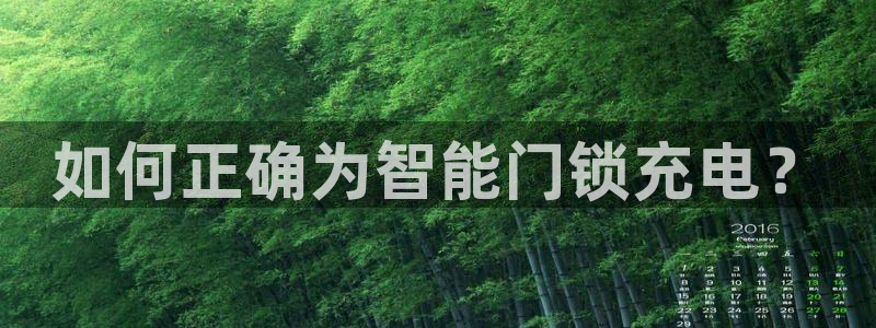 开丰娱乐日7O667：如何正确为智能门锁充电？