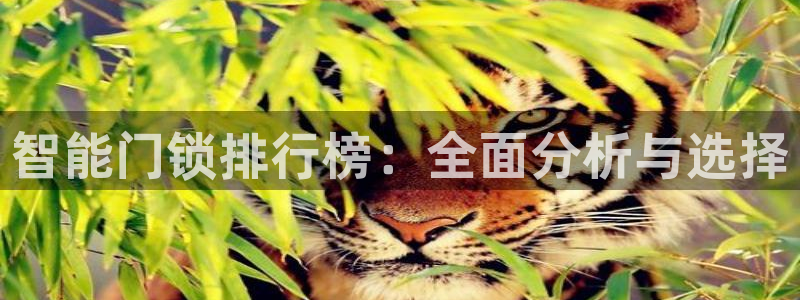 开丰娱乐注册自判官333OO：智能门锁排行榜：全面分析与选择