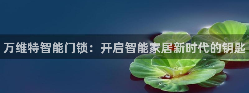 开丰娱乐主管家去判官333OO：万维特智能门锁：开启智能家居