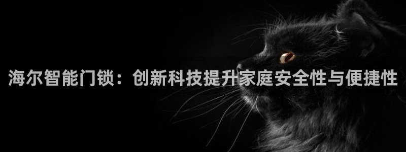 开丰娱乐日7O667：海尔智能门锁：创新科技提升家庭安全性与