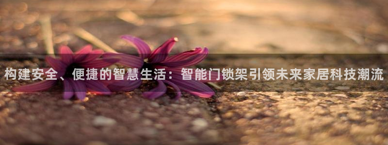 开丰娱乐体育平台：构建安全、便捷的智慧生活：智能门锁架引领未