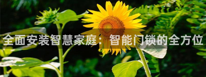 开丰娱乐联系q徽22212：全面安装智慧家庭：智能门锁的全方