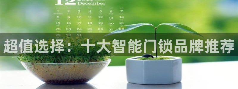 开丰娱乐网站官网首页：超值选择：十大智能门锁品牌推荐