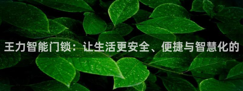开丰娱乐登录注册：王力智能门锁：让生活更安全、便捷与智慧化的