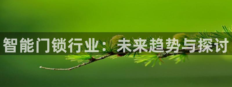 开丰娱乐网站：智能门锁行业：未来趋势与探讨