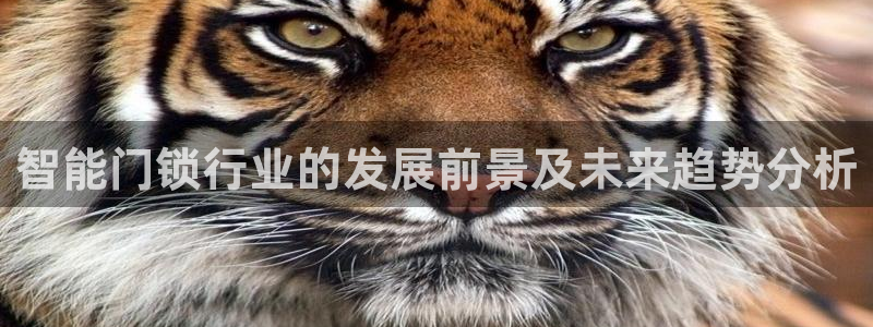 开丰娱乐网站官网首页：智能门锁行业的发展前景及未来趋势分析