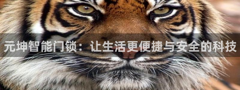 开丰娱乐平台提现失败：元坤智能门锁：让生活更便捷与安全的科技
