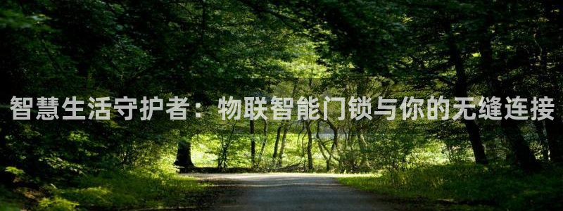 开丰娱乐巾67五壹叁八：智慧生活守护者：物联智能门锁与你的无