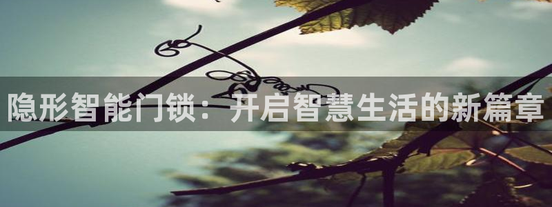 开丰娱乐网站官网首页：隐形智能门锁：开启智慧生活的新篇章