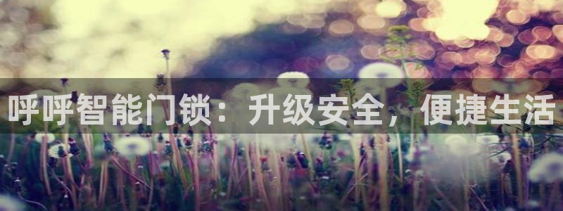 开丰娱乐右7O667：呼呼智能门锁：升级安全，便捷生活