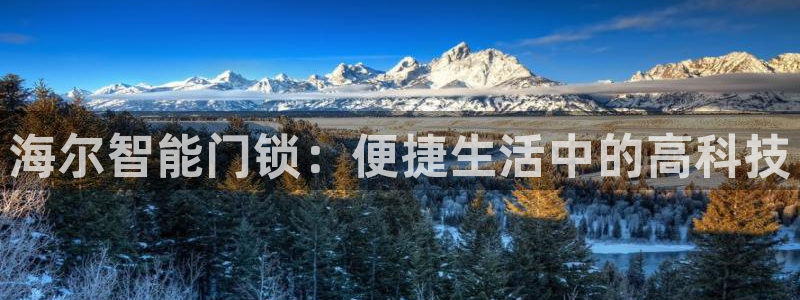 开丰娱乐注册系究耍333OO：海尔智能门锁：便捷生活中的高科
