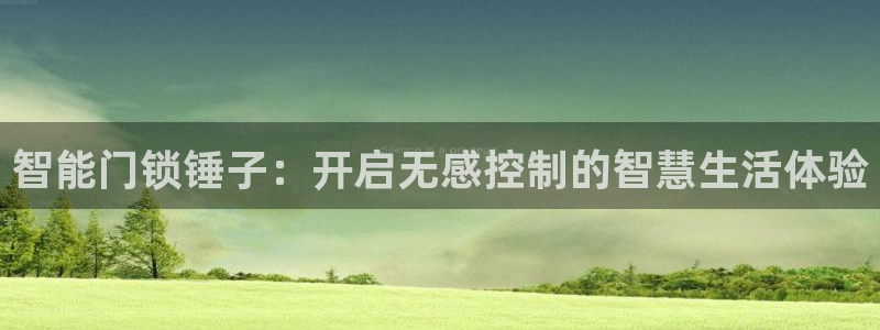 开丰娱乐登入地址查询：智能门锁锤子：开启无感控制的智慧生活体