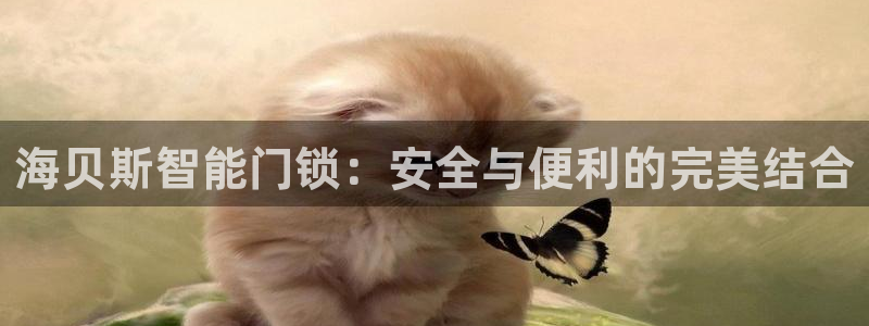 开丰娱乐注册登录：海贝斯智能门锁：安全与便利的完美结合