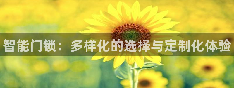 开丰娱乐注册：智能门锁：多样化的选择与定制化体验