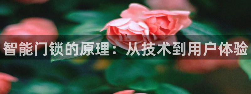 开丰娱乐登陆地址：智能门锁的原理：从技术到用户体验