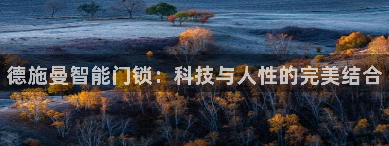 开丰娱乐最新活动：德施曼智能门锁：科技与人性的完美结合