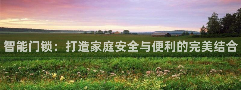 开丰娱乐登入：智能门锁：打造家庭安全与便利的完美结合