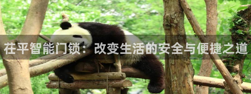 开丰娱乐官网电话：茌平智能门锁：改变生活的安全与便捷之道