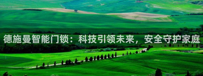 开丰娱乐网站官网下载：德施曼智能门锁：科技引领未来，安全守护