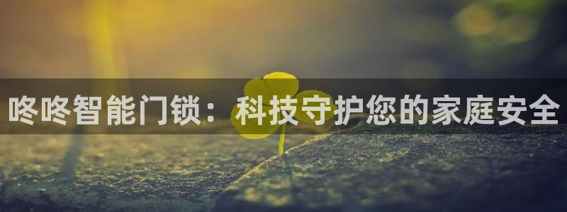开丰娱乐登录平台下载：咚咚智能门锁：科技守护您的家庭安全