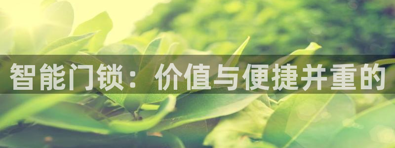 开丰娱乐：智能门锁：价值与便捷并重的