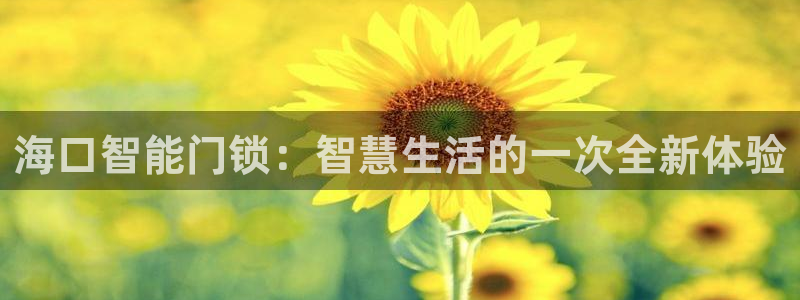 开丰娱乐官网招聘：海口智能门锁：智慧生活的一次全新体验
